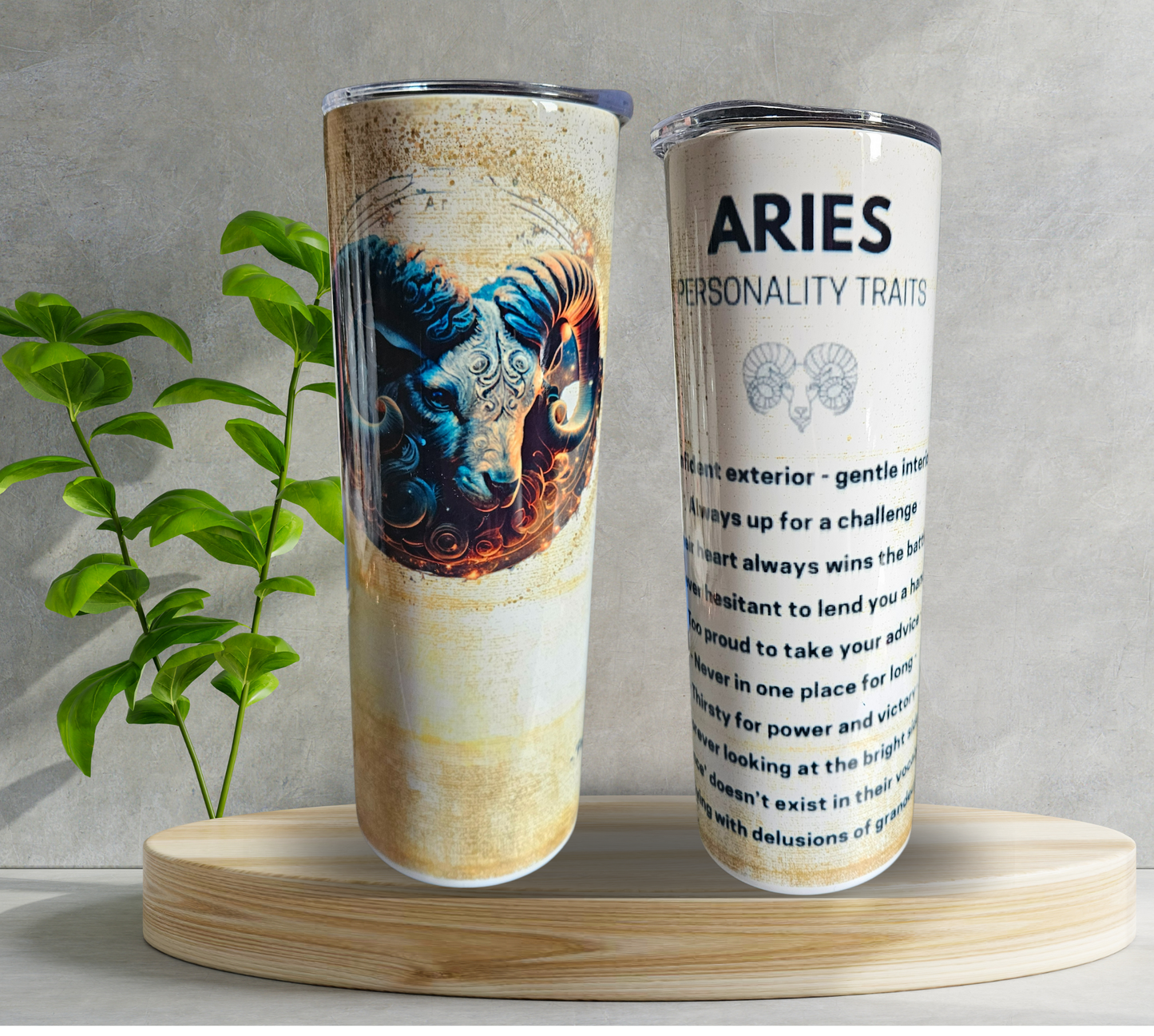 20 oz Water Tumbler - Astrology - Aries
